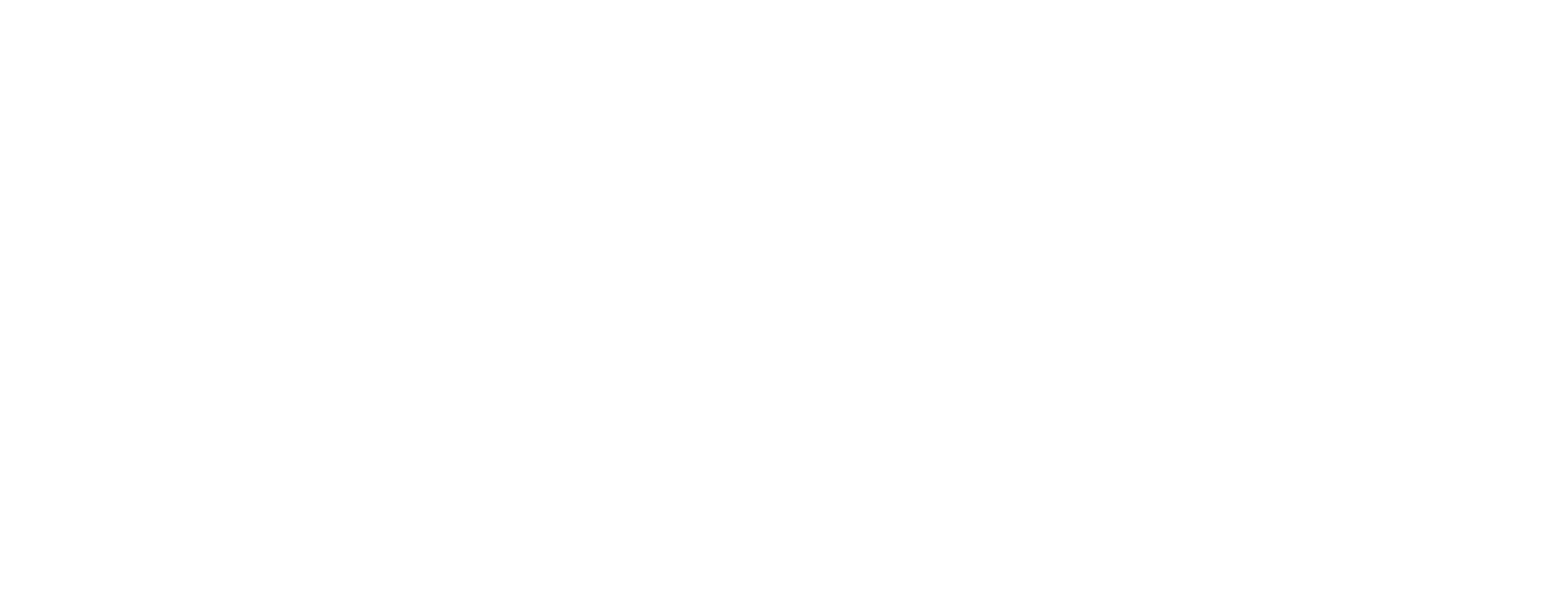 BM Servicio Automotriz